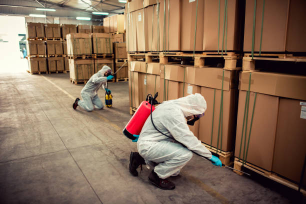 Best Exterminator Services  in Brentwood, NY