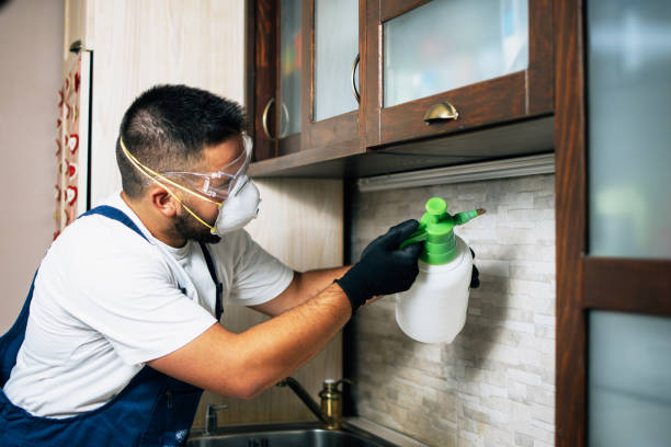 Best Insect Control  in Brentwood, NY