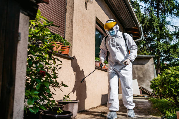 Best Mosquito Control Services  in Brentwood, NY