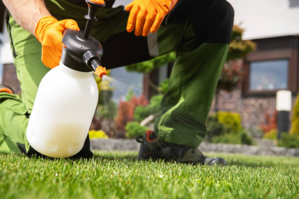 Best Rat Extermination Near Me  in Brentwood, NY