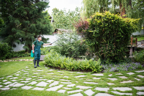 Best Mosquito Control Services  in Brentwood, NY